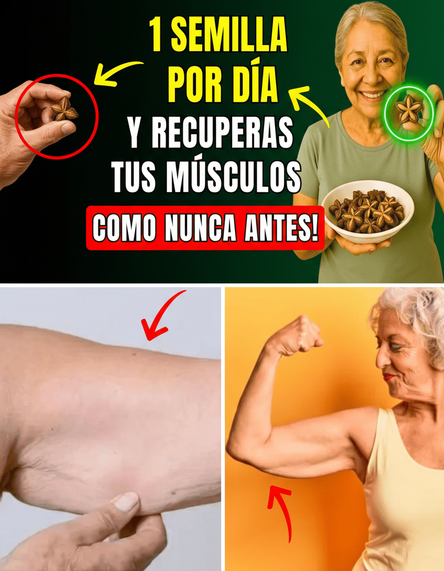 Fortalece Huesos y Músculos: 10 Semillas Clave para un Bienestar Duradero