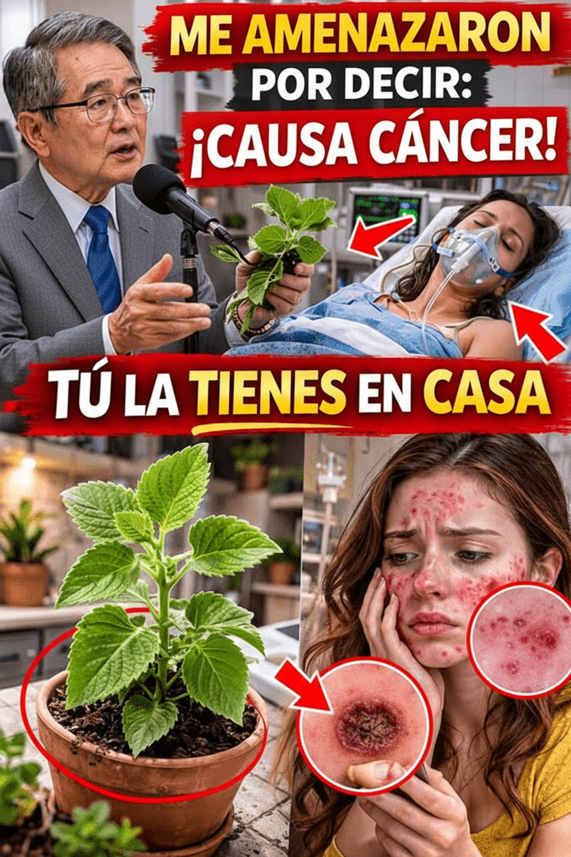 La Verdad sobre un Vegetal Común en Casa: Desmontando Mitos y Estrategias para un Consumo Seguro y Saludable