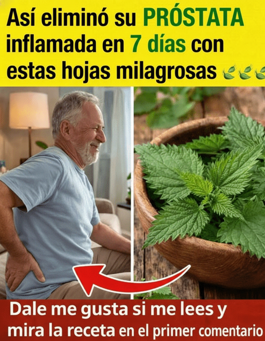 La Ortiga Mayor: Un Aliado Natural para la Salud Prostática y el Bienestar Masculino