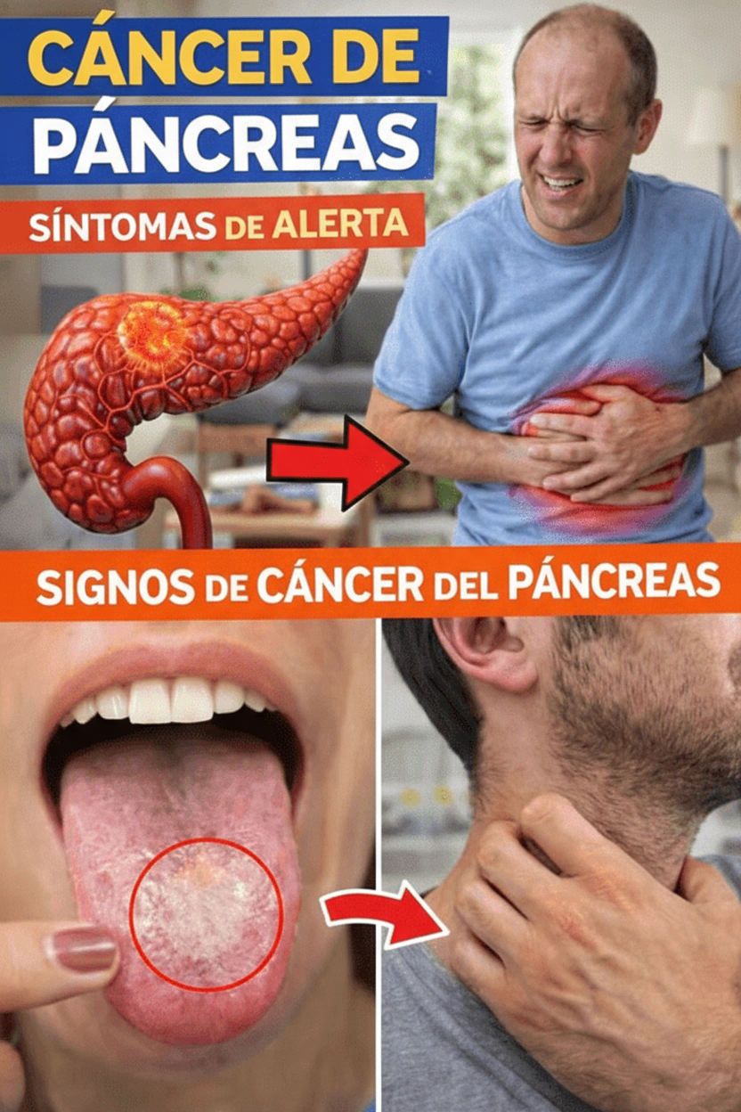 8 Señales del Páncreas que No Debes Ignorar: Guía Completa para Monitorear Tu Salud Diaria