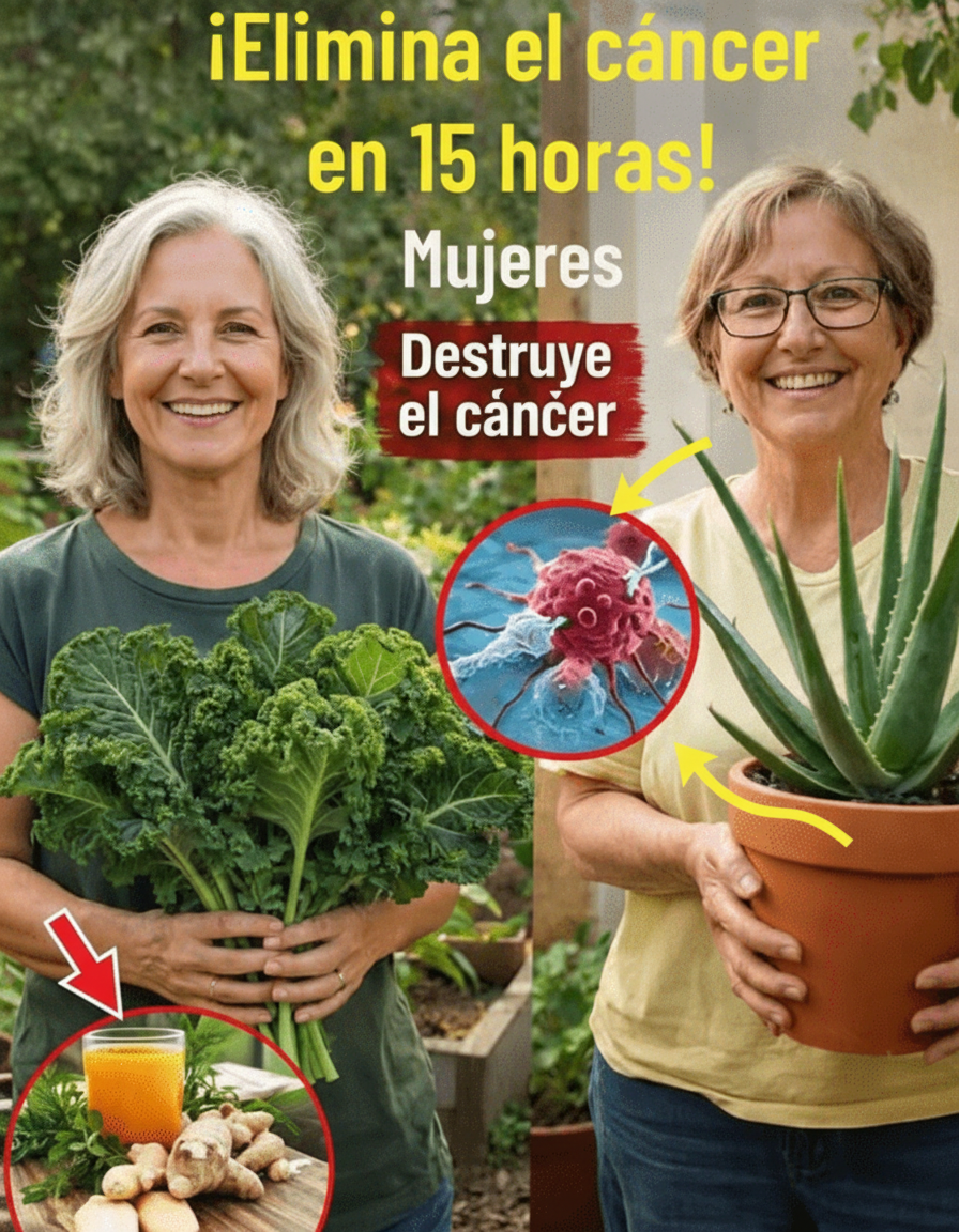 Guanábana: Explorando los Potenciales Beneficios para la Salud de sus Hojas, según la Ciencia