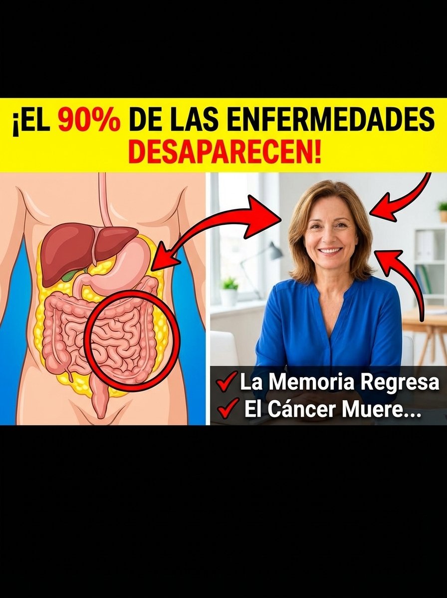 ¡Basta de Hinchazón! 5 Alimentos Sorprendentes que DESTRUYEN la Grasa Visceral y Transforman Tu Digestión para Siempre