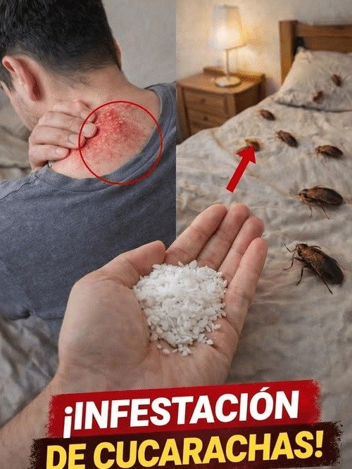 ¡Alerta Roja en Casa! 😱 El Único Remedio Casero que Elimina Cucarachas SIN Químicos (Y NADIE Te Lo Dice)