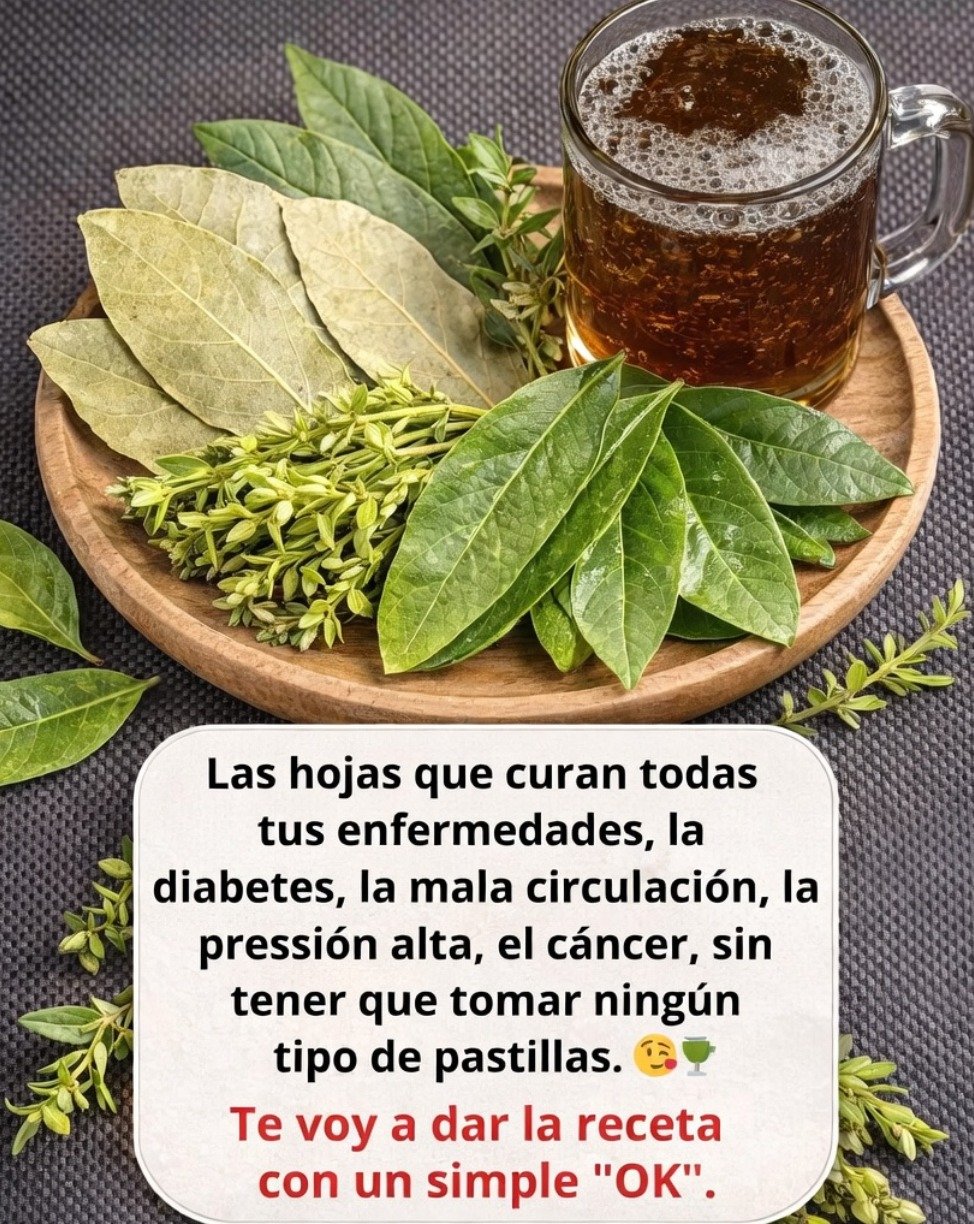 El Secreto Mejor Guardado de la Naturaleza: ¡Estas Hojas Revolucionarán Tu Salud y NADIE te lo ha Contado!