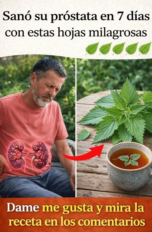 ¿Micción nocturna? El Secreto Oculto de la Ortiga que 9 de cada 10 Hombres Ignoran para su Próstata (¡No querrás perderte esto!)