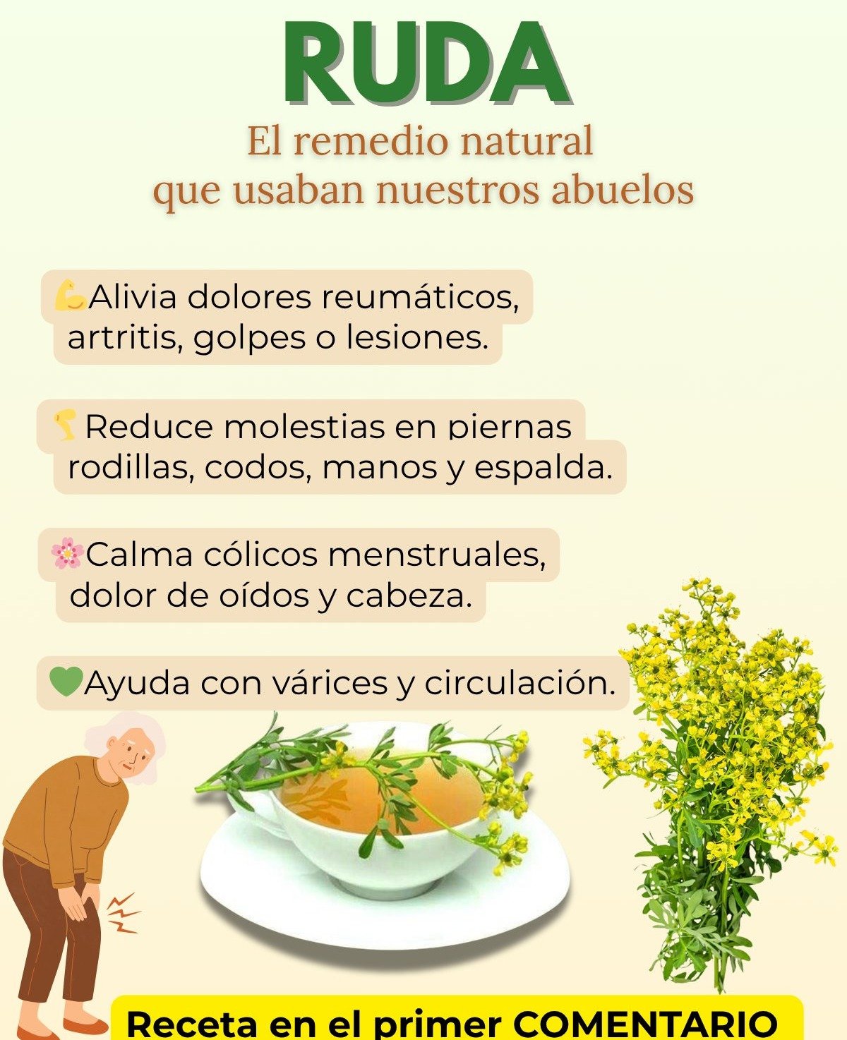 La Ruda para la Salud: Descubre sus Beneficios Comprobados, Usos Prácticos y Precauciones Esenciales 🌿