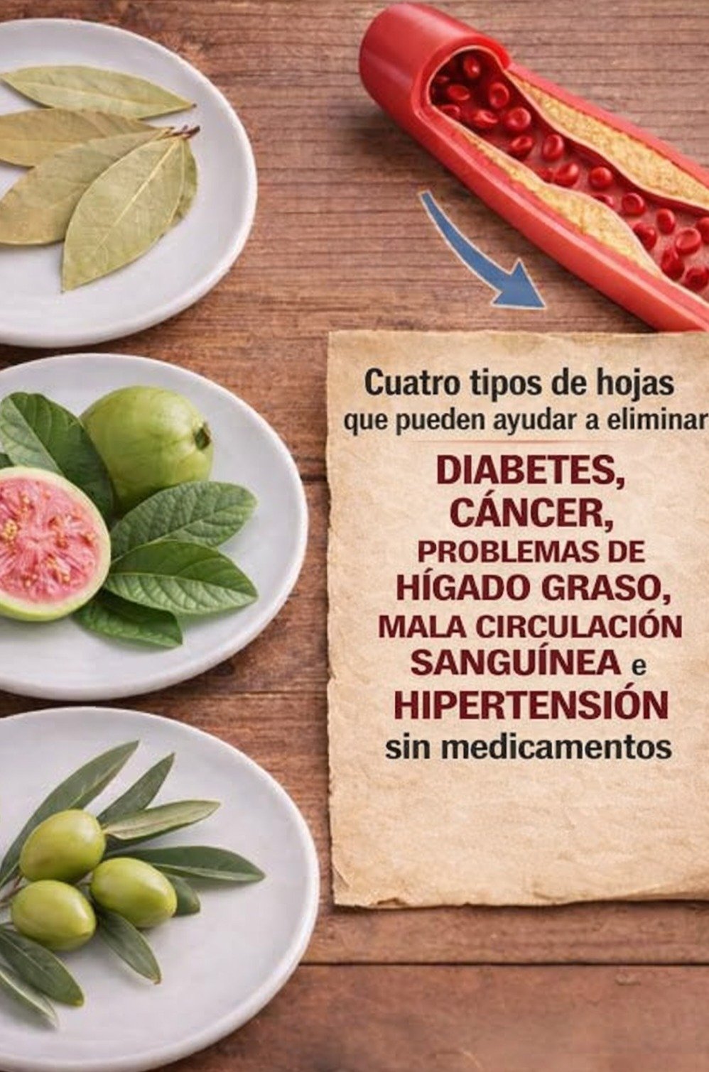 ¡El Secreto Olvidado! 4 Hojas Naturales Que Tu Abuela Usaba Para Una Salud De Hierro (¡Y Cómo Tú También Puedes Hacerlo HOY!)