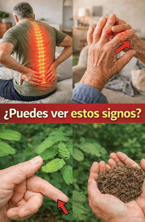 🚨 ¡ALERTA! Tu Jardín ESCONDE el Secreto Mejor Guardado para tu Bienestar: ¿La Estás Ignorando? (No te lo Pierdas)