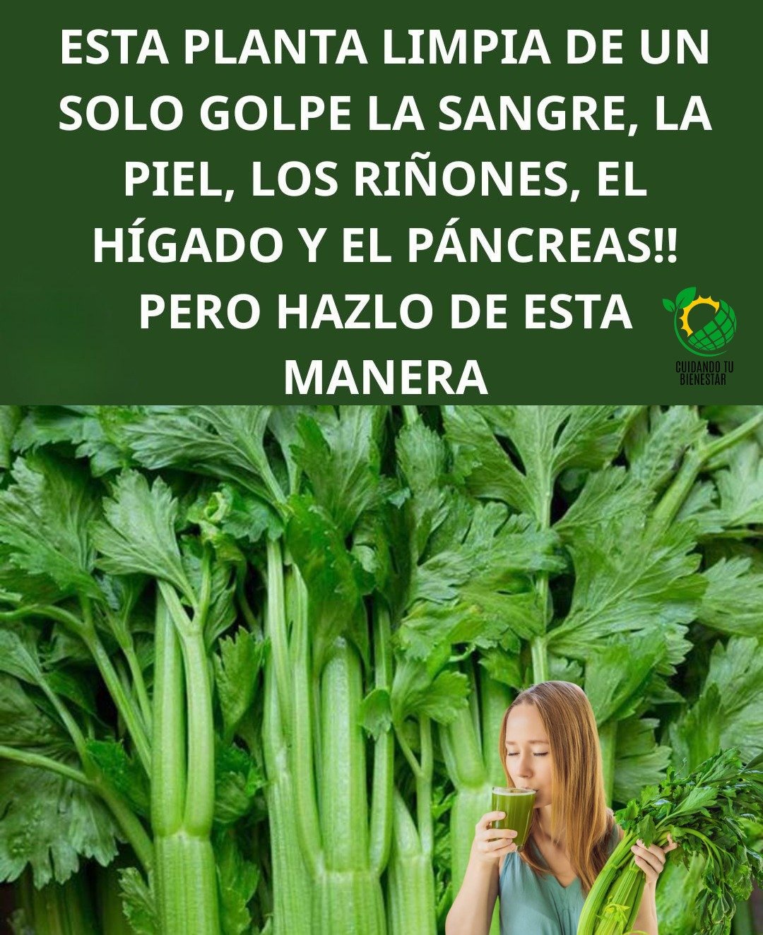 Apio para la Salud Renal y Hepática: El Poderoso Detox Natural que tu Organismo Necesita