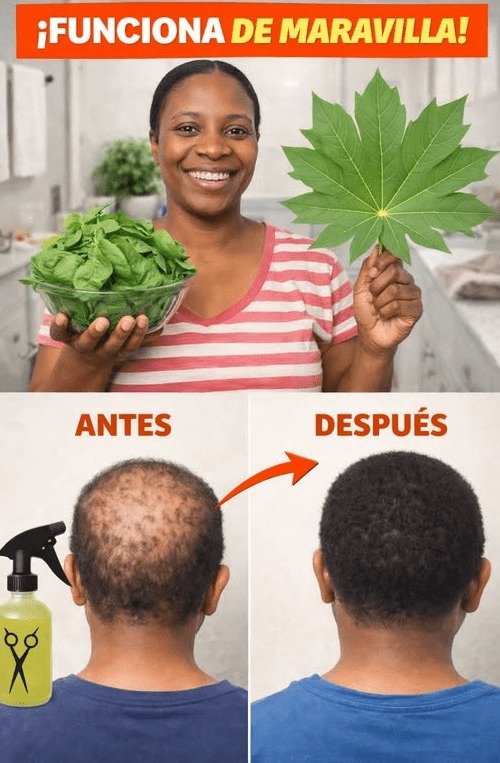 ¡ALERTA! No uses hojas de papaya en tu cabello sin leer ESTO antes: El SECRETO que NADIE te cuenta