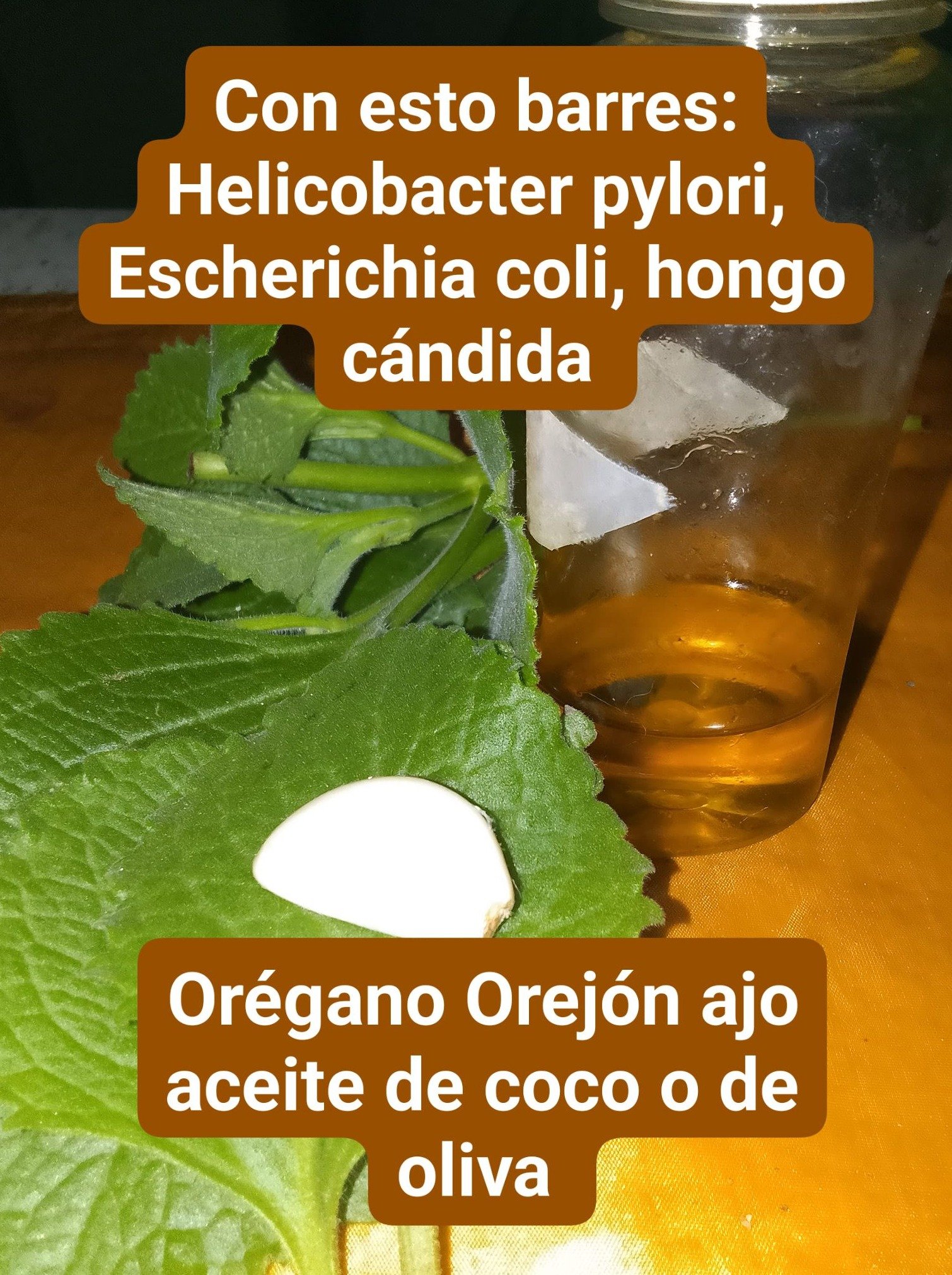 ¡BASTA DE SUFRIR! Descubre los 3 Microbios Ocultos que Destruyen Tu Digestión y Piel (¡Y Cómo ELIMINARLOS Naturalmente PARA SIEMPRE!)
