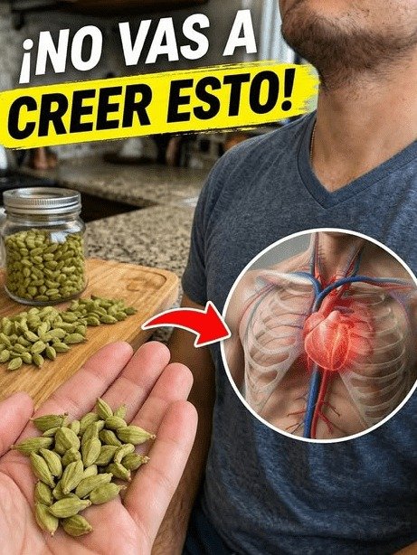 ¡ALERTA! Estás Perdiendo Tu Energía Vital y NO lo Sabes: El ÚNICO Secreto Natural que Nadie Te Ha Contado (¡Recupérala HOY!)