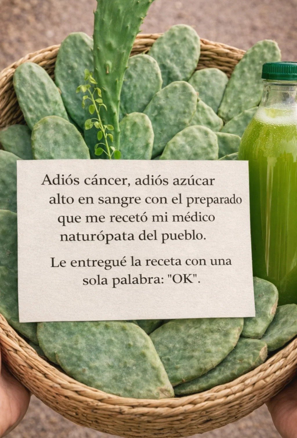 El Nopal: Un Superalimento del Desierto con Extraordinarios Beneficios para tu Salud