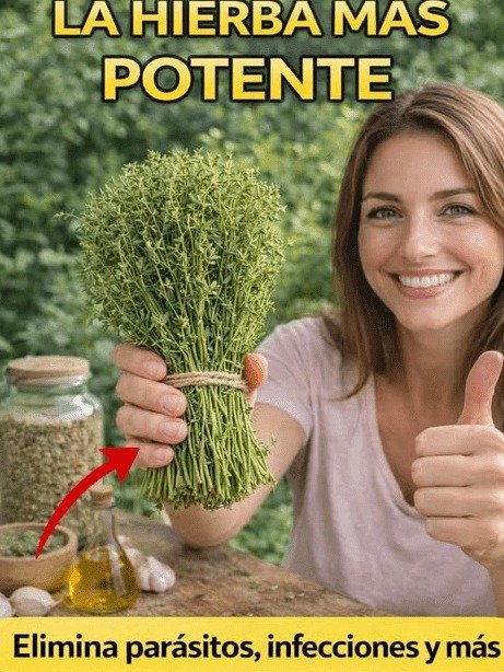 ¡Alerta Bienestar! La Hierba Olvidada que Tu Cuerpo Te Pide a Gritos (y que NADIE te ha contado)