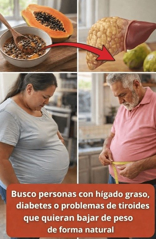 El SECRETO Oculto que NADIE te Cuenta: Cómo las Semillas de Papaya Pueden REVOLUCIONAR tu Peso y Energía (¡y las tiras a la basura!)