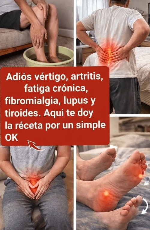 ¡ALERTA! Estás Ignorando el Secreto #1 para tu Bienestar en Casa (El Romero te Sorprenderá)