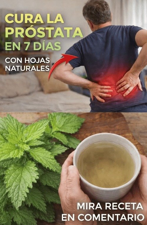 ¿Cansado de Levantarte al Baño Toda la Noche? El Secreto Ancestral de la Ortiga Que Podría Transformar Tu Próstata (¡Y Tu Descanso!)