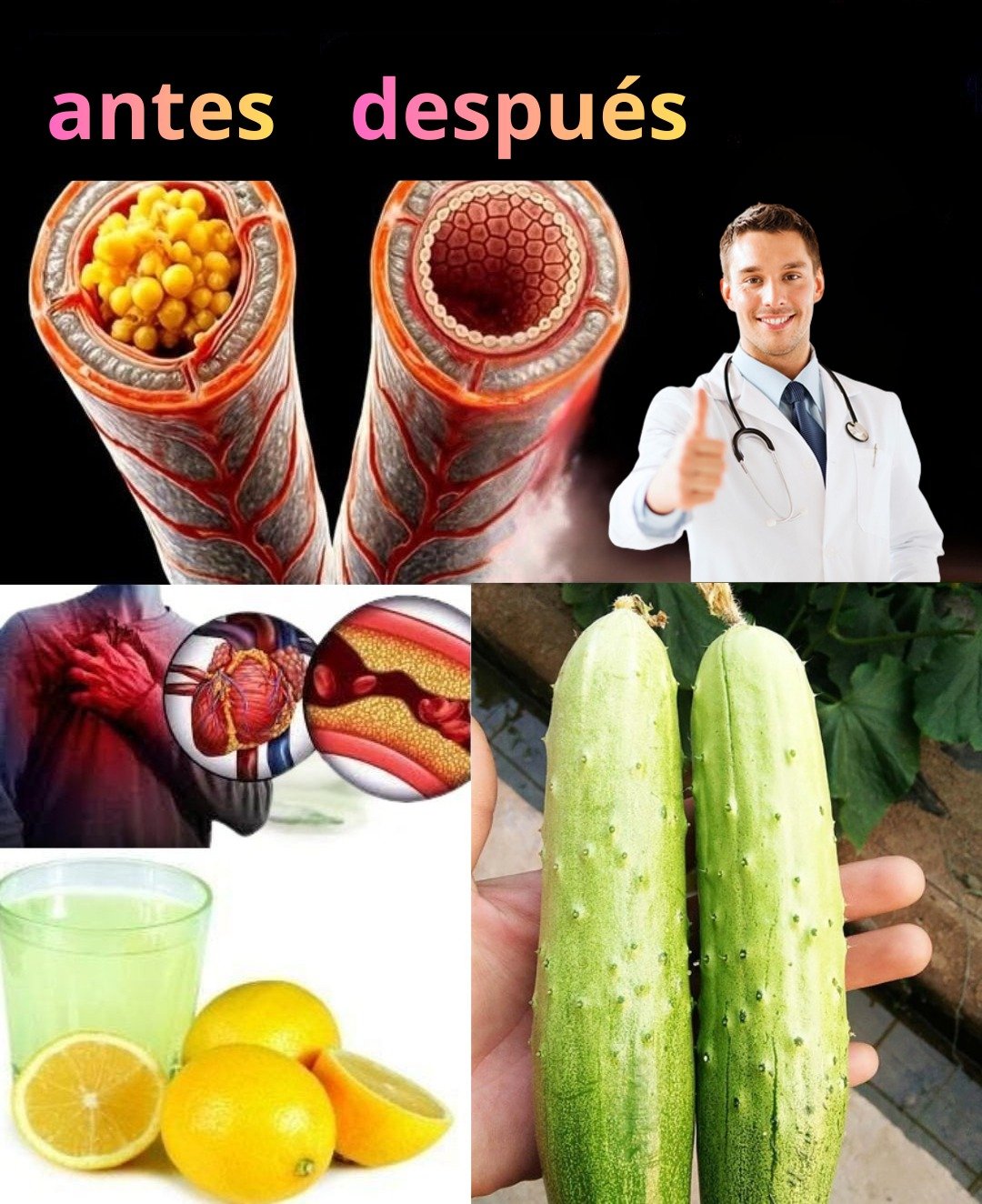 ¡Destapa tus Arterias Rápidamente! Soluciones Naturales para Impulsar tu Salud Cardiovascular