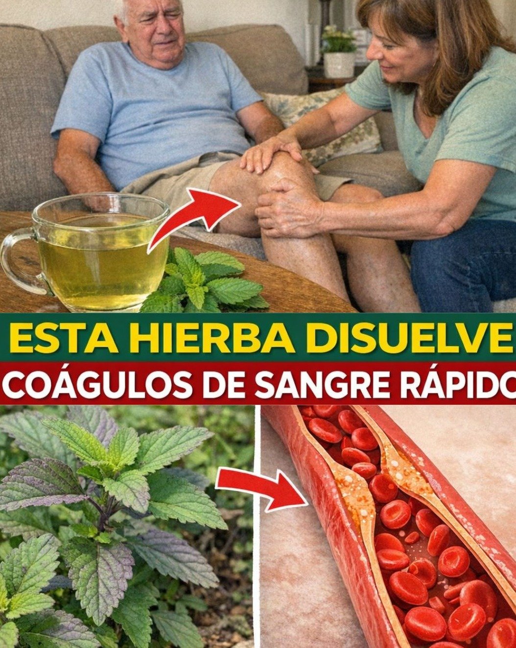 ¡Alerta Roja! 🚨 Tus Piernas Pesadas NO son normales: Descubre las 7 Señales de Mala Circulación que tu cuerpo te GRITA (y cómo solucionarlo ya)