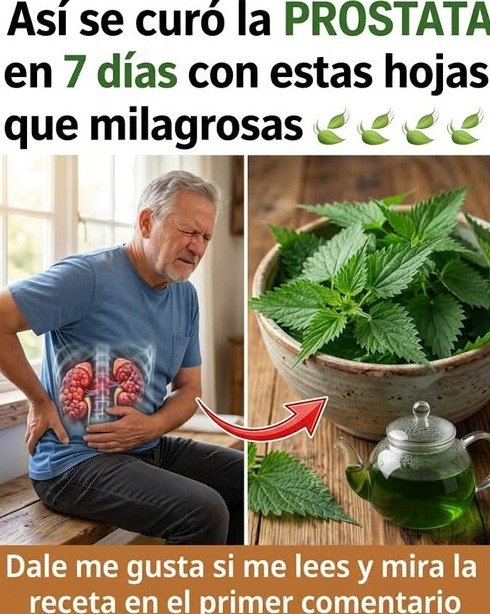 ¡Despierta Renovado! El Hábito Nocturno con Raíz de Ortiga que Pocos Conocen y que Revolucionará Tus Mañanas