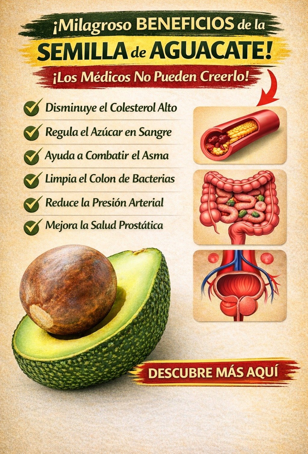 🥑✨ La Semilla de Aguacate: ¿Un Remedio Natural con Sorprendentes Beneficios o un Mito?