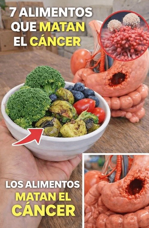 ¡ALERTA! Si tienes más de 50, ESTÁS CANSADO y no sabes por qué... ¡Podrías estar IGNORANDO estos 7 ALIMENTOS VITALES! (El #4 te SORPRENDERÁ)