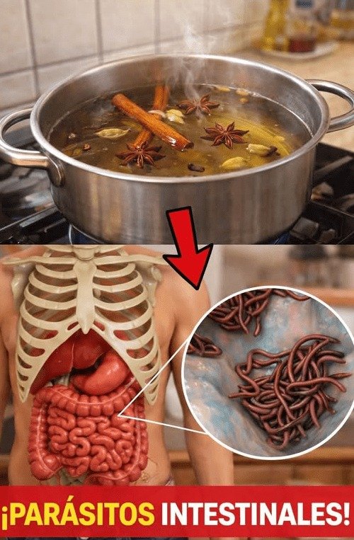 ¡ALERTA! Tu Estómago te Manda Señales CLARAS: La Infusión Natural que Millones Están Adoptando para Sentirse Ligeros al Instante