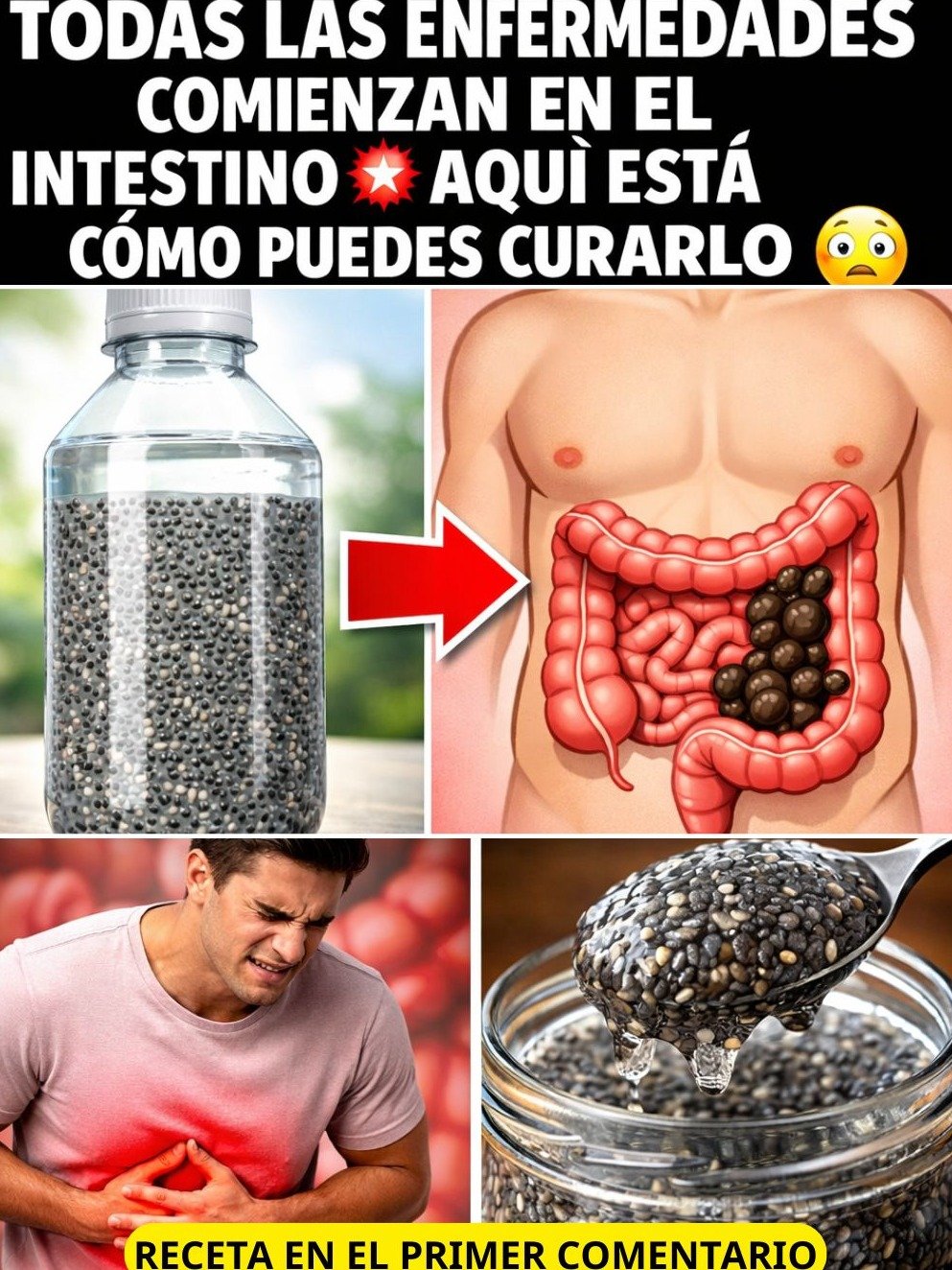 El Secreto Oculto de Tu Salud: ¿Es Tu Intestino el Verdadero Origen de TODAS las Enfermedades? ¡La Ciencia Al Descubierto!