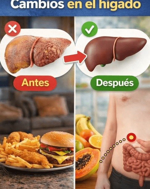 ¡ALERTA! Si tiras las semillas de papaya, estás DESPERDICIANDO el 'oro negro' para tu digestión (Nadie te lo había contado)