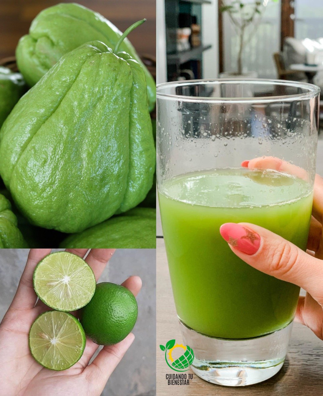 Chayote: Tu Aliado Natural contra Dolores de Rodilla, Colesterol y Otros Afecciones