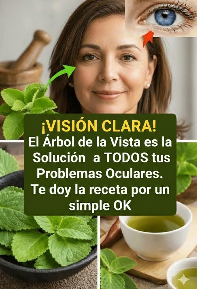 Plantas para la Vista: Desmitificando el 'Árbol de la Visión' y Recetas para el Cuidado Ocular