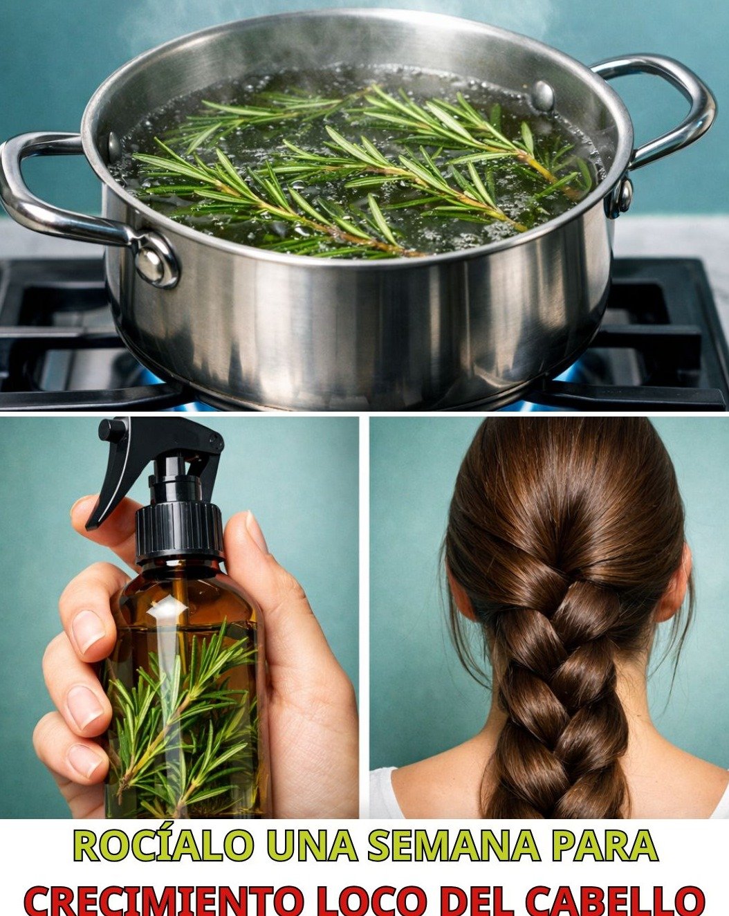 ¡El Secreto Viral de Clavos y Romero Revelado! Lo que NADIE te cuenta sobre sus efectos REALES (y por qué DEBES saberlo)