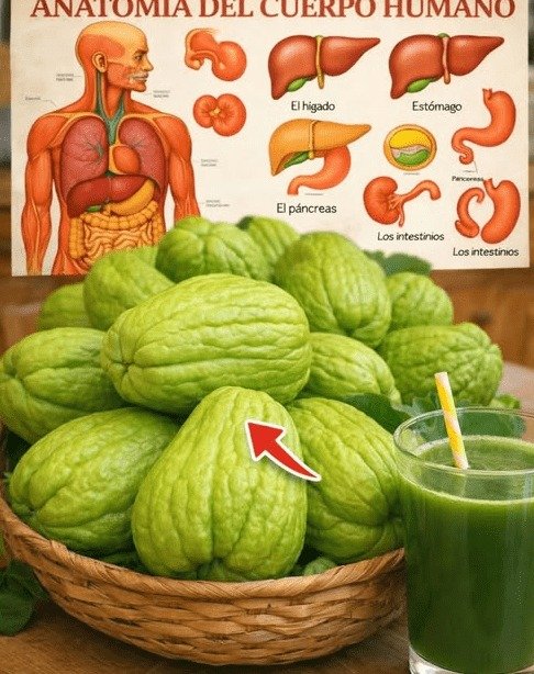 ¡ALERTA MAYORES DE 50! Este Vegetal ECONÓMICO es el SECRETO que NADIE te ha contado para sentirte ligero y lleno de energía