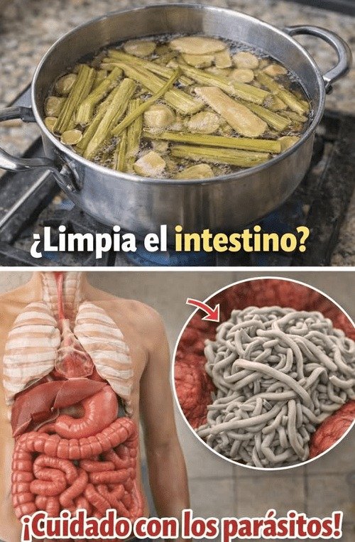 ¡Adiós Hinchazón y Pesadez! Descubre la Infusión de Apio Viral que Nadie Te Cuenta y Que Tu Panza Necesita HOY