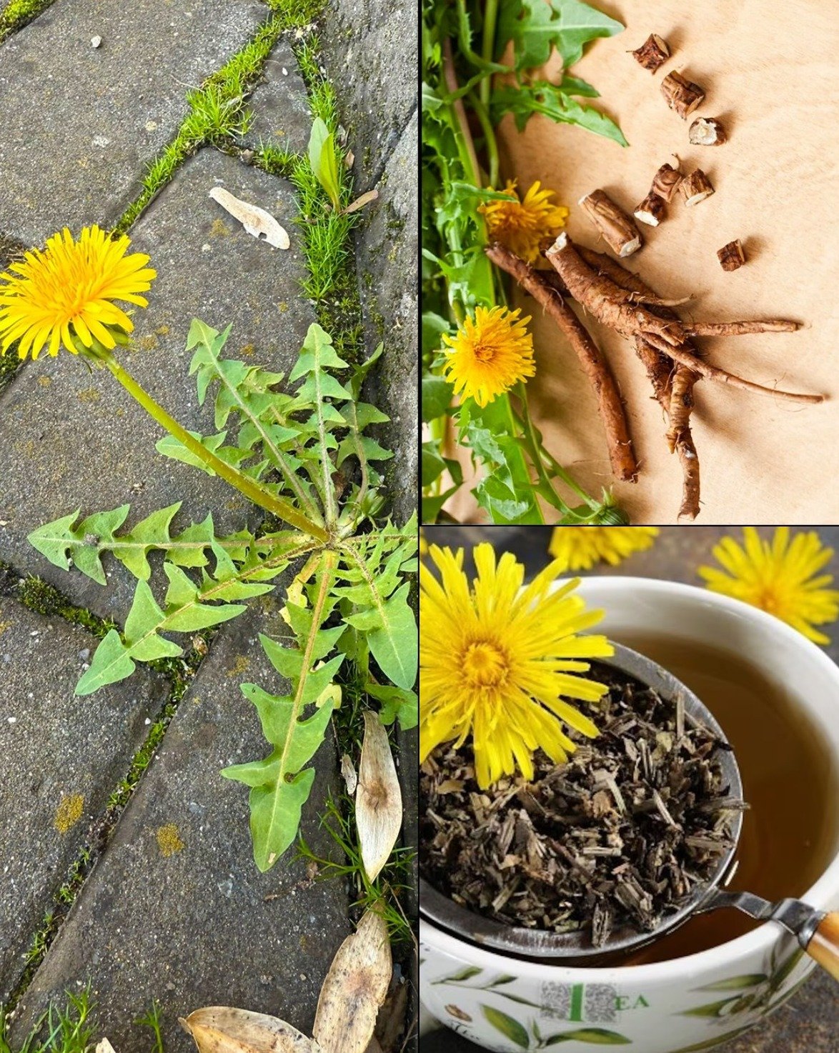 ¡No la arranques! La