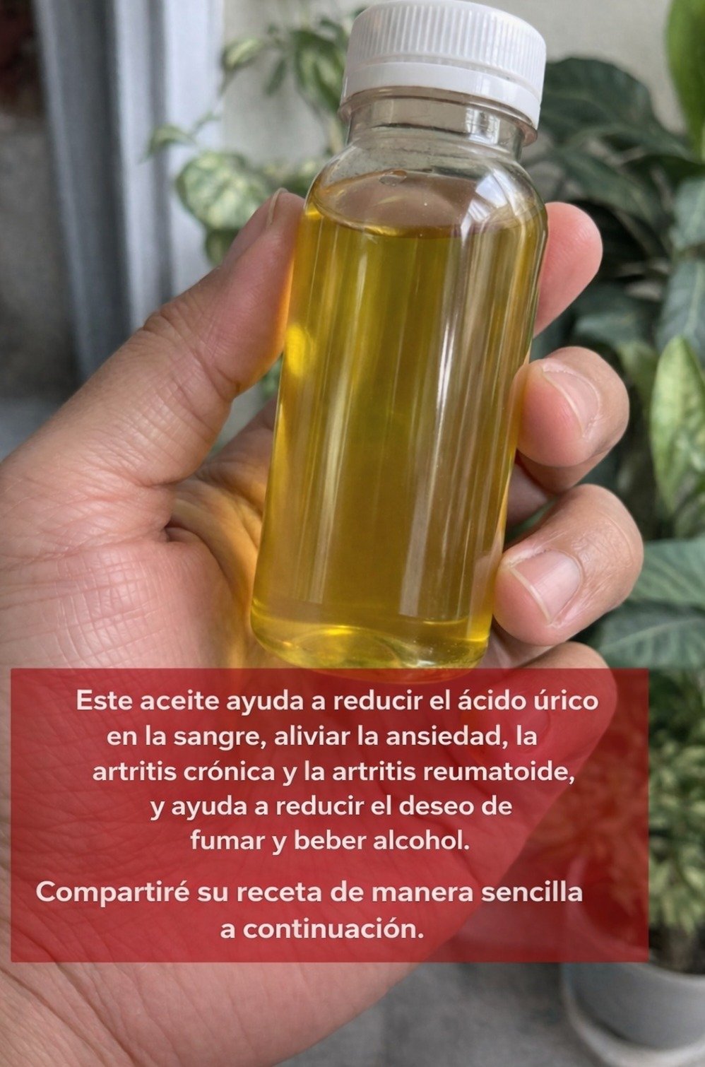 💥 ¡El 'Aceite Poderoso' que TODOS BUSCAN! Descubre sus 5 Secretos Mejor Guardados y Transforma Tu Bienestar Hoy