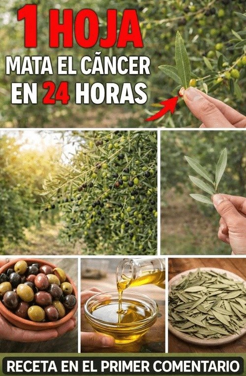 ¡Alerta! El Secreto Oculto de las Hojas Naturales para tu Bienestar que NADIE Te Ha Contado (y que Debes Saber YA)