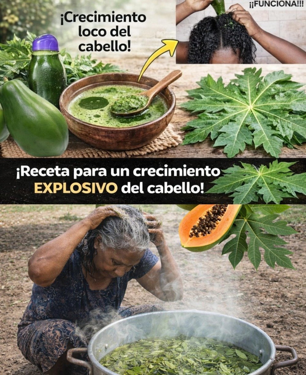 🌿 Explora el Fascinante Poder de las Hojas de Papaya: Beneficios Naturales para tu Salud