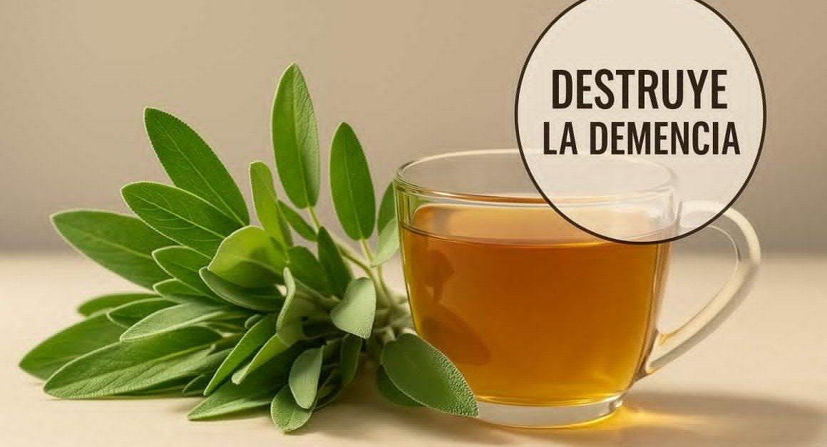 Descubre el Poder del Té de Salvia: Aliado Natural contra la Inflamación, el Dolor y el Deterioro Cognitivo