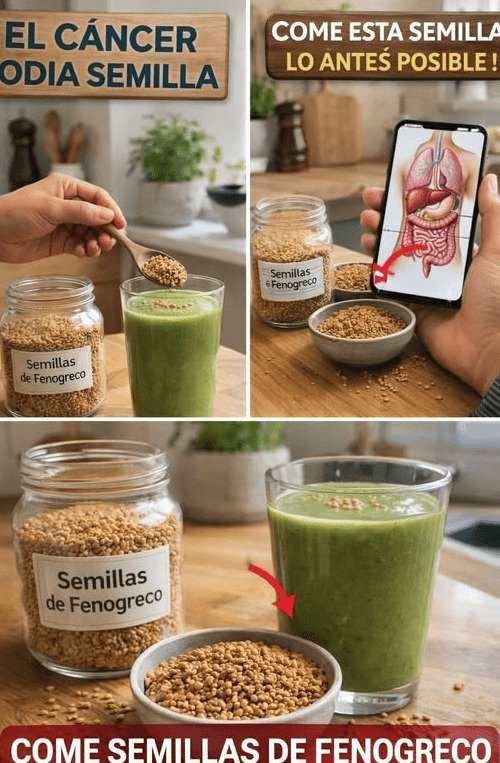 ¡El Secreto Olvidado en Tu Cocina! 6 Semillas que Dispararán Tu Energía y Bienestar Diario (NADIE Te Lo Cuenta)