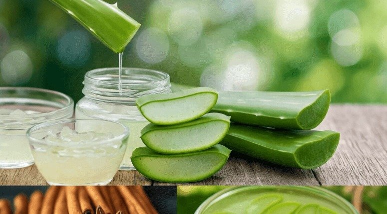 ¡Alerta de Salud! El Remedio Casero de Aloe Vera y Canela que NADIE te Cuenta para Proteger TU Vista y Revitalizar TODO tu Cuerpo