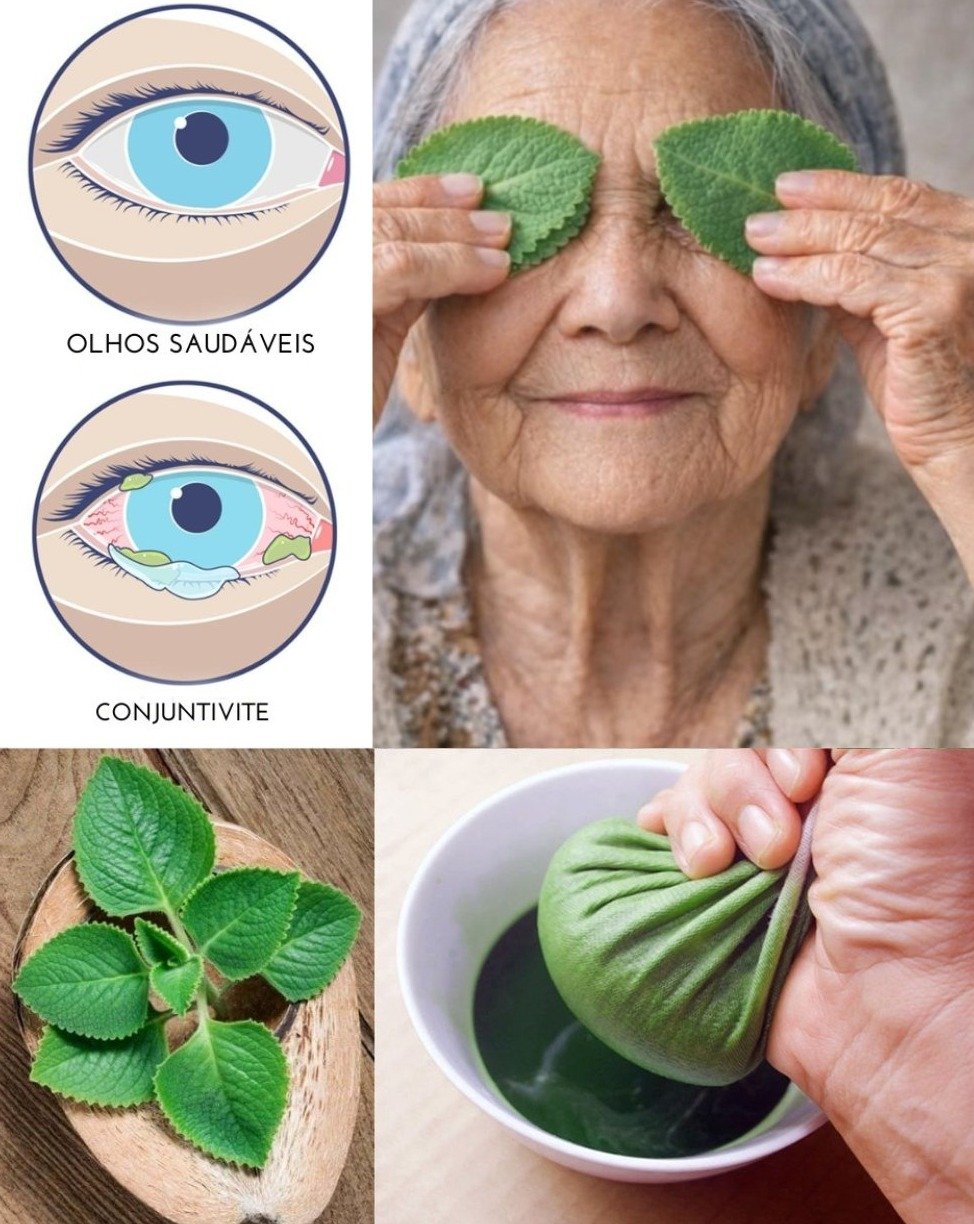 ¡ALERTA VISIÓN! 🚨 El Orégano Orejón: ¿El Secreto ANCESTRAL que Transformará tus Ojos o un Engaño Viral? Descubre la VERDAD OCULTA