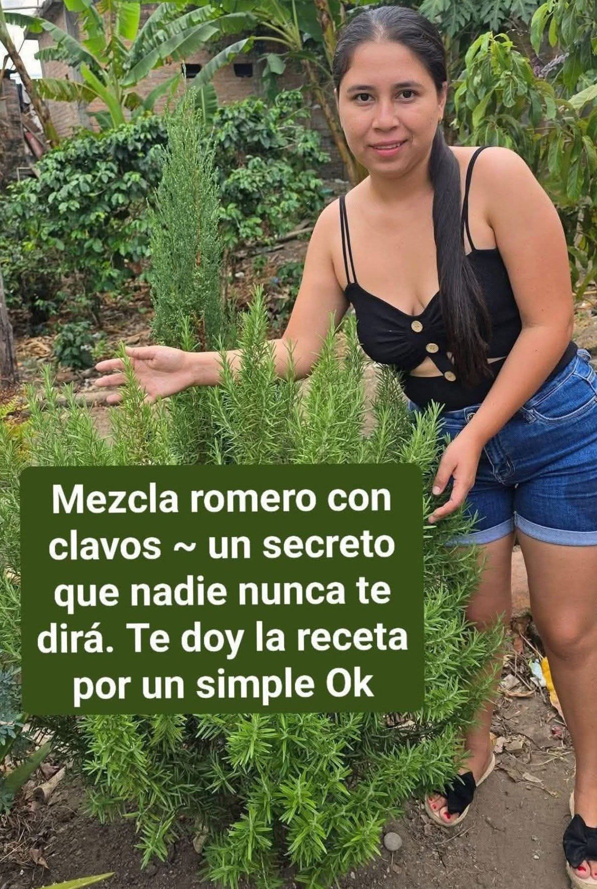 ¡Alerta Saludable! El Té de Romero es elixir natural que cambiará tu vida: Los 8 Secretos que NADIE te cuenta