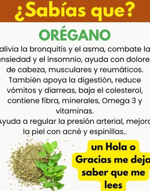 ¡ATENCIÓN! 🚨 Este es el ÚNICO Secreto del Orégano Orejón que Puede TRANSFORMAR Tu Salud (y el ERROR que TODOS Cometen)