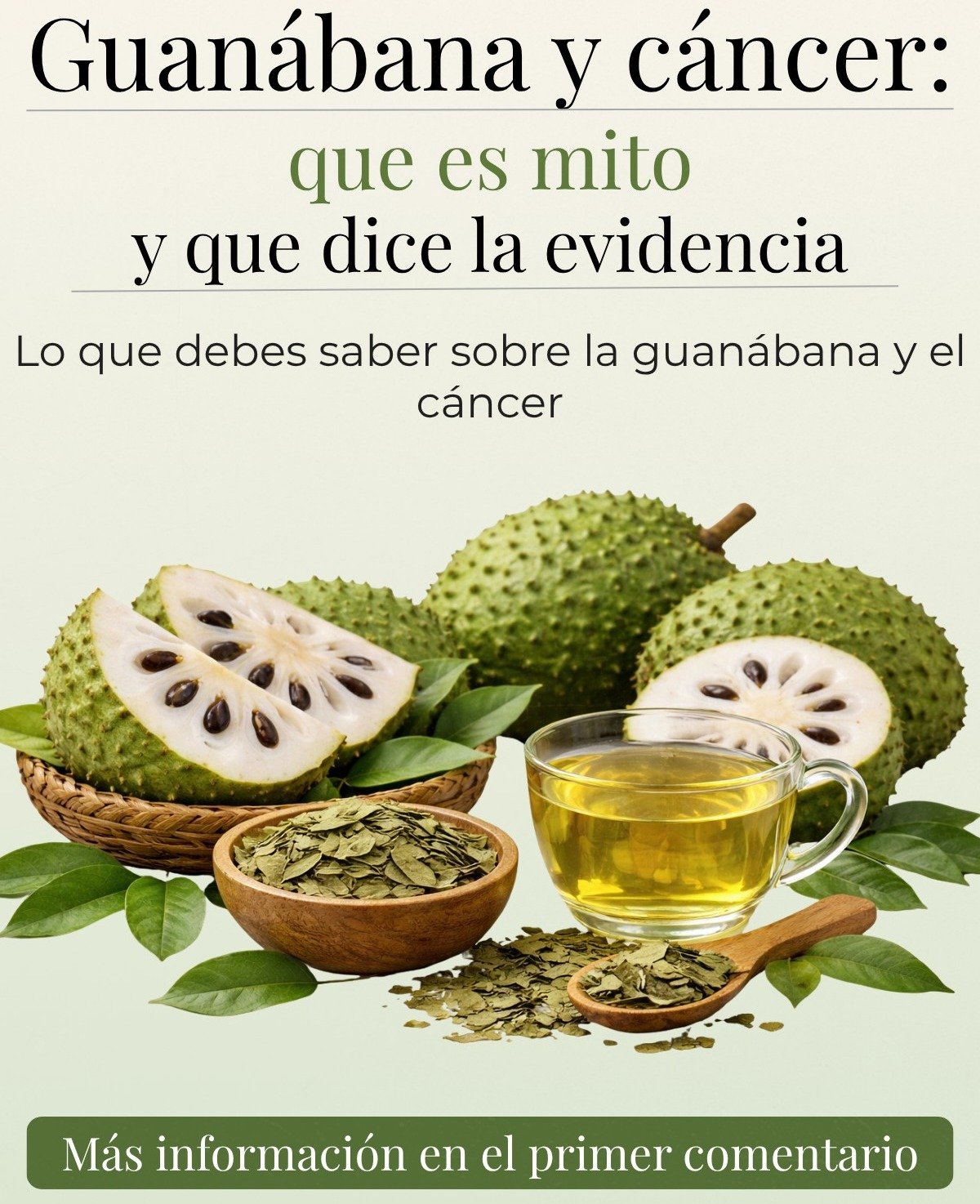 ¿La Guanábana Combate el Cáncer? Mitos, Realidades y el Veredicto de la Ciencia