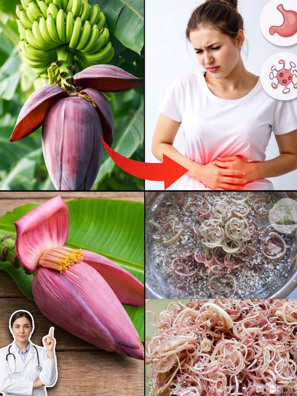 ¡ALERTA! El Secreto Oculto del Plátano que NADIE te ha contado (y que cambiará tu salud para siempre)