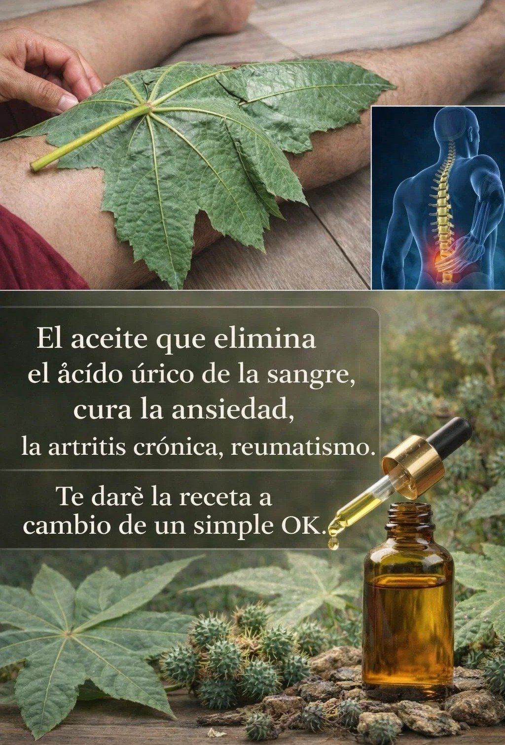 El Ricino: Un Prodigio Vegetal con Múltiples Aplicaciones para Tu Hogar