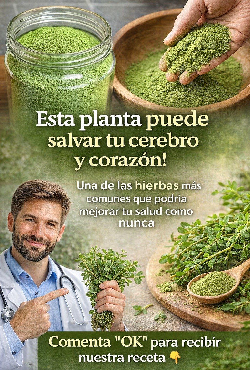 Verdolaga (Portulaca oleracea): Propiedades, Ventajas para la Salud y Formas de Consumirla