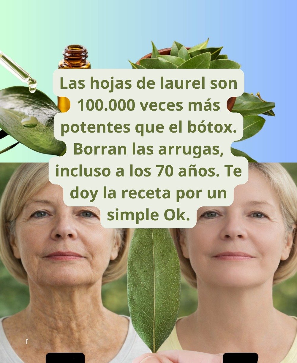 La Hoja de Laurel: Un Tesoro Natural para Impulsar Tu Bienestar