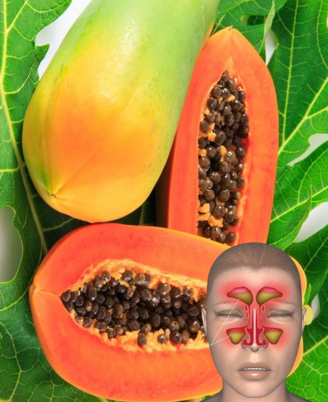 Semillas de Papaya: Recetas, Propiedades y Usos Naturales para tu Salud